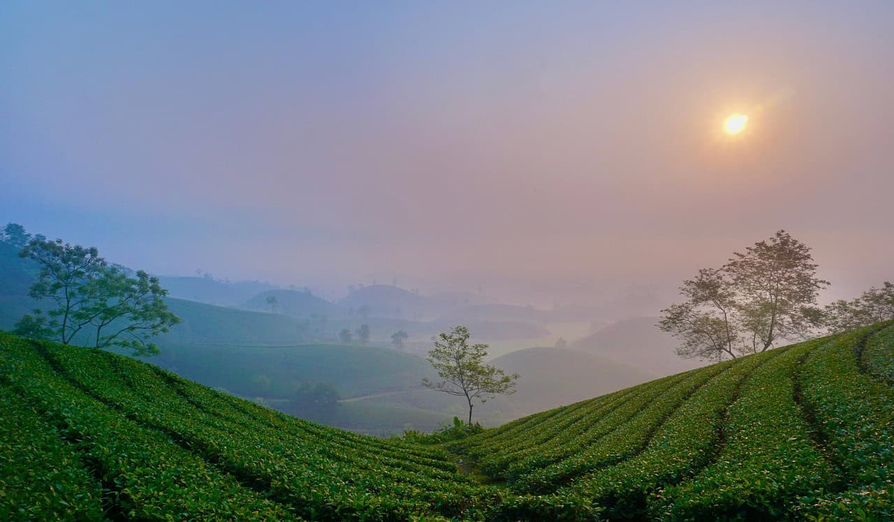 Top 5 Best Places To Visit In India In Summer best places to visit in India