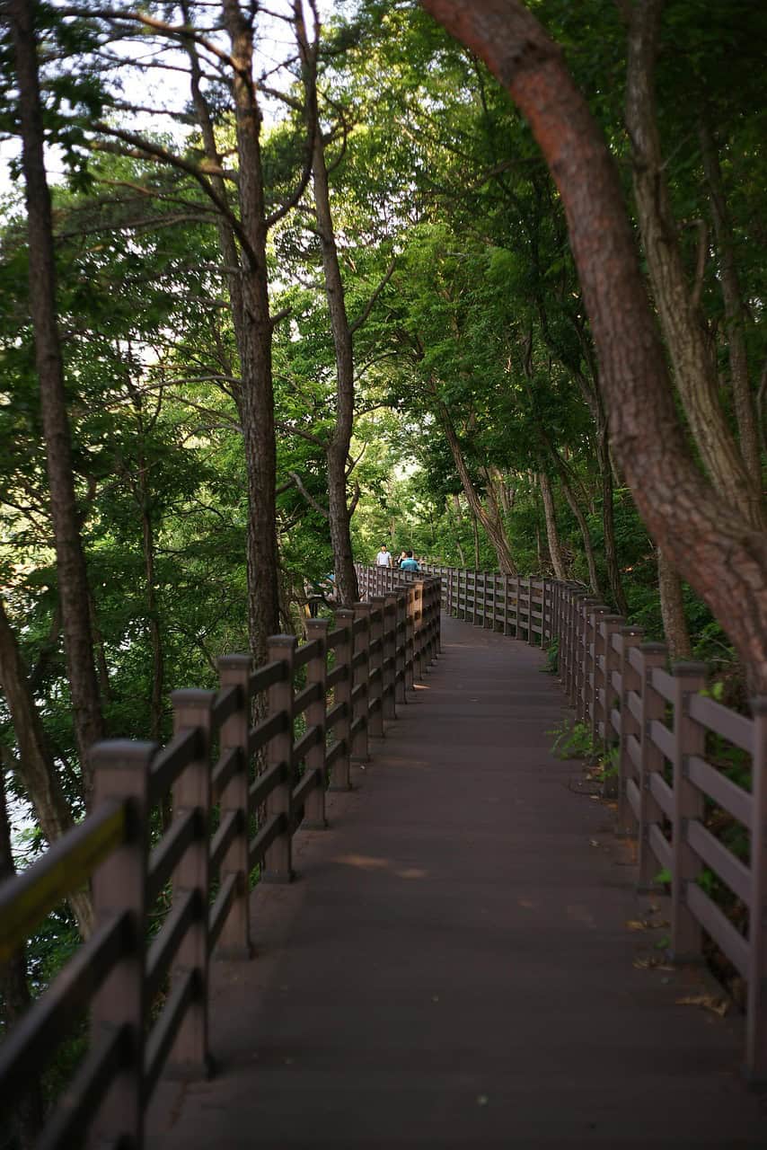 promenade 4962564 1280